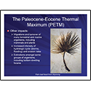 The Paleocene-Eocene Thermal Maximum (PETM)