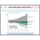 Global Carbon Budget: Sources and Sinks