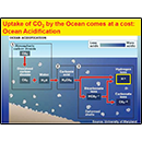 Uptake of CO<sub>2</sub> by Ocean comes at a cost: Ocean Acidification