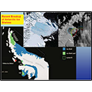 Recent Breakup of Antarctic Ice Shelves