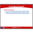 Concluding Thoughts - continued