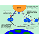 The Sun and Oxygen